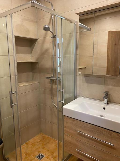Ferienwohnung Auf Dem Gutshof Renz Weißenfels 外观 照片