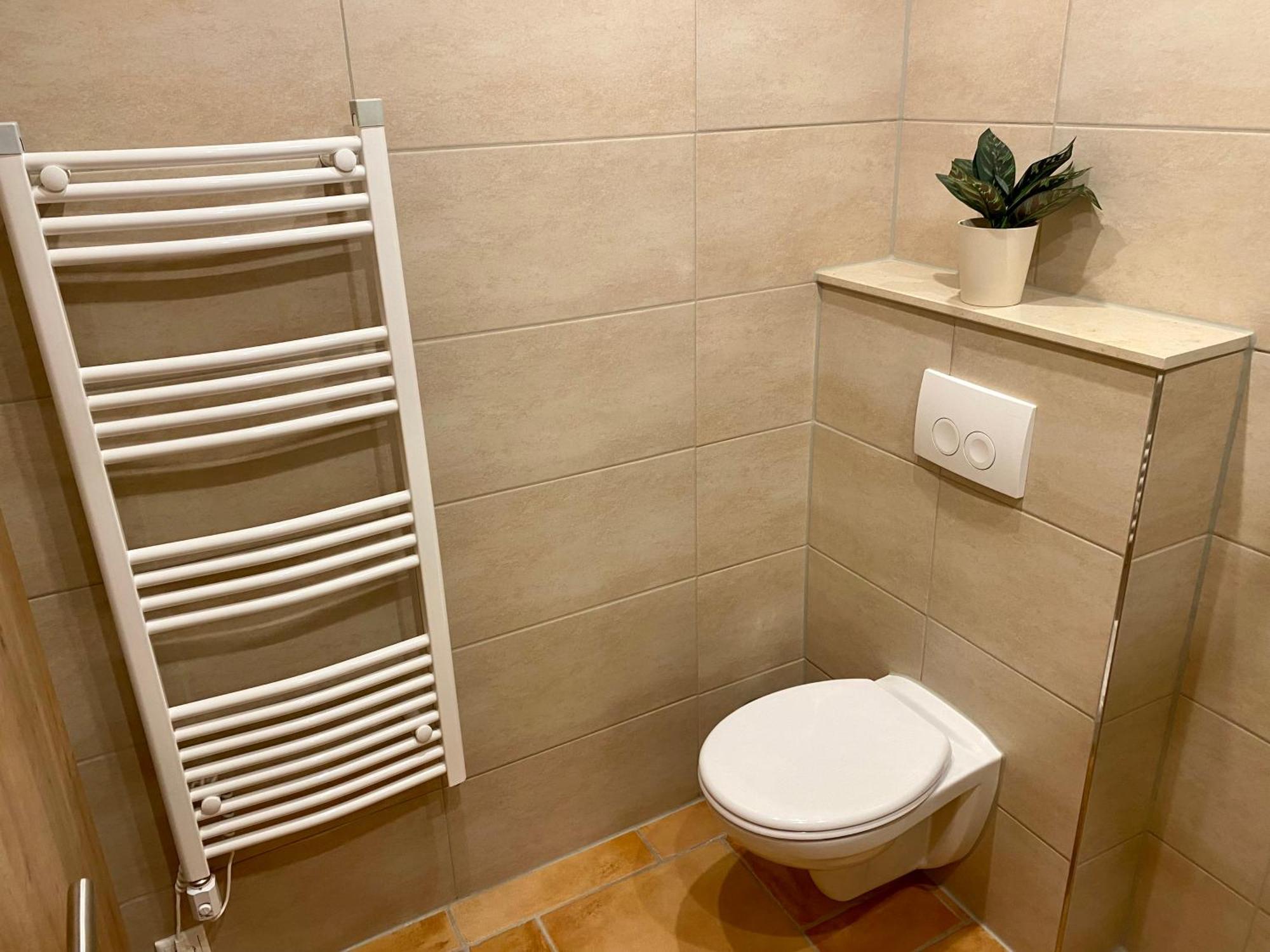 Ferienwohnung Auf Dem Gutshof Renz Weißenfels 外观 照片